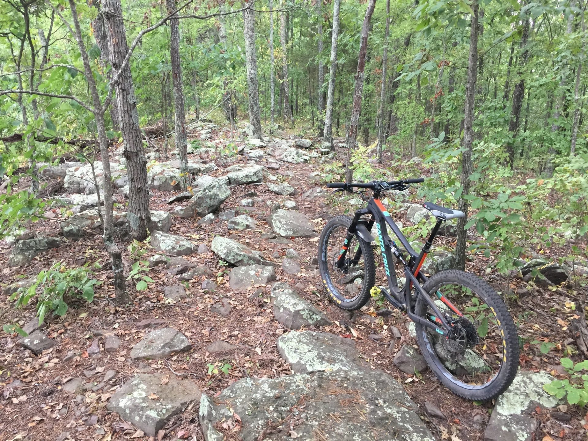white oak mountain hiking trails chattanooga