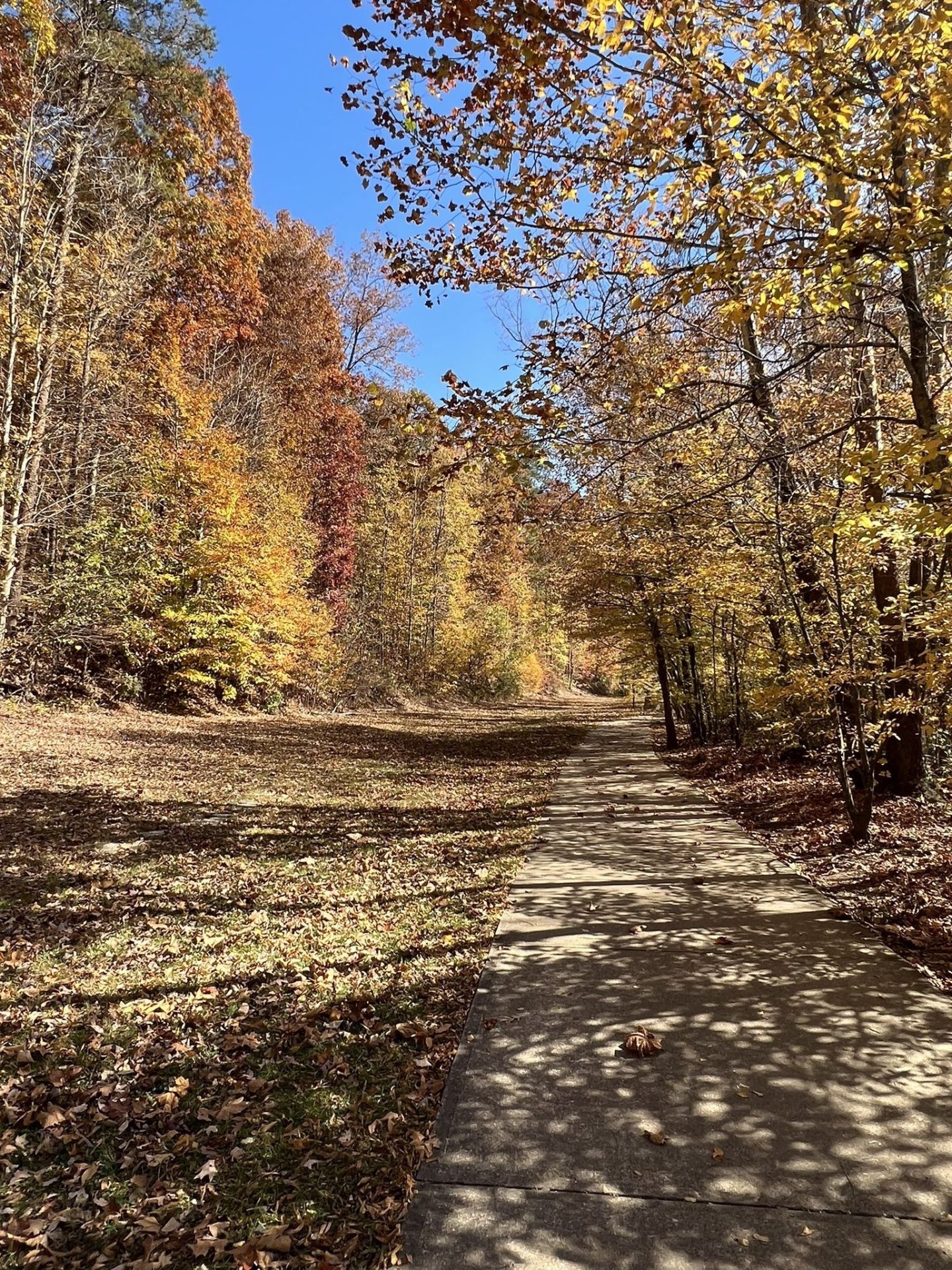 wolftever creek greenway hiking trails chattanooga