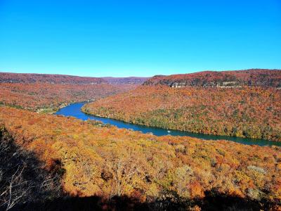 Snoopers rock blog pic