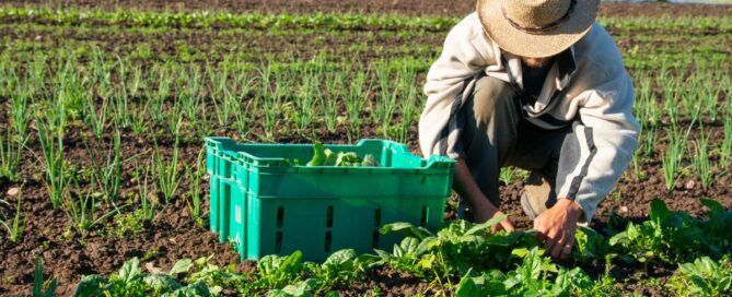 Cultivating Hope: Pratt Home Builders Partners with Crabtree Farms