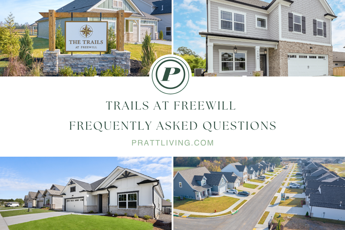 Trails of Freewill blog image FAQs