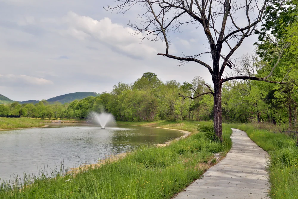 Pathway beside a pond with a fountain, surrounded by lush greenery, likely in a community by Pratt Home Builders in Chattanooga TN.
